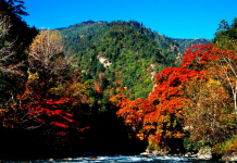 鷓鴣山懶人錯峰 純玩二日游(品質)